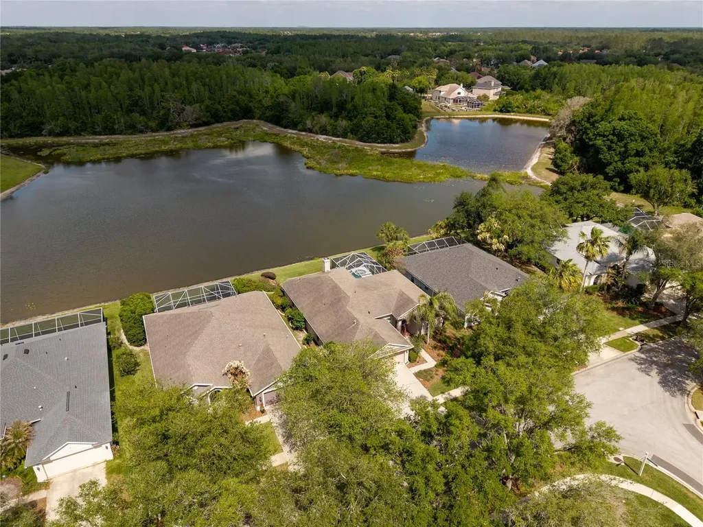 9442 Hunters Pond Drive Tampa FL 33647