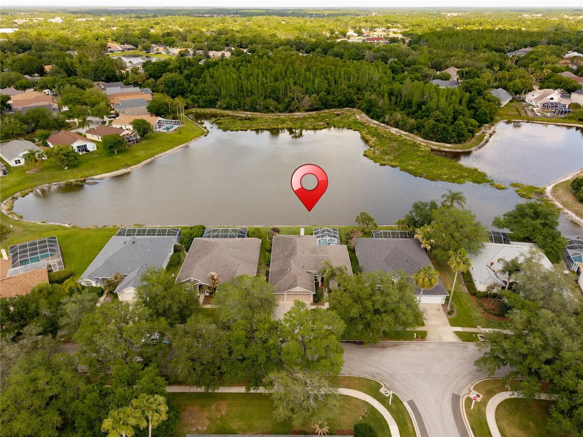 9442 Hunters Pond Drive Tampa FL 33647