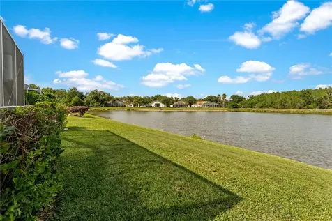 9442 Hunters Pond Drive Tampa FL 33647