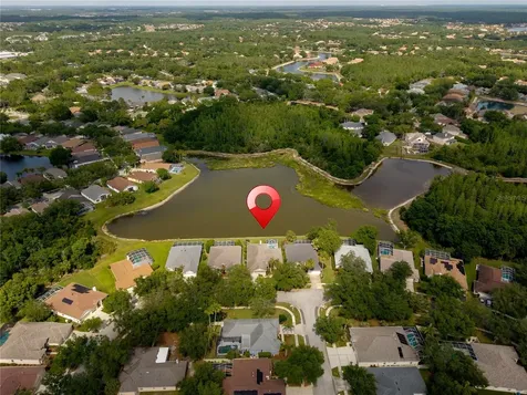 9442 Hunters Pond Drive Tampa FL 33647