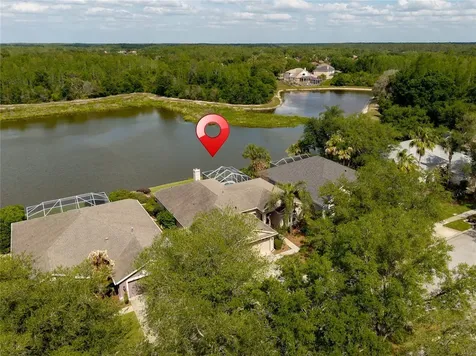 9442 Hunters Pond Drive Tampa FL 33647