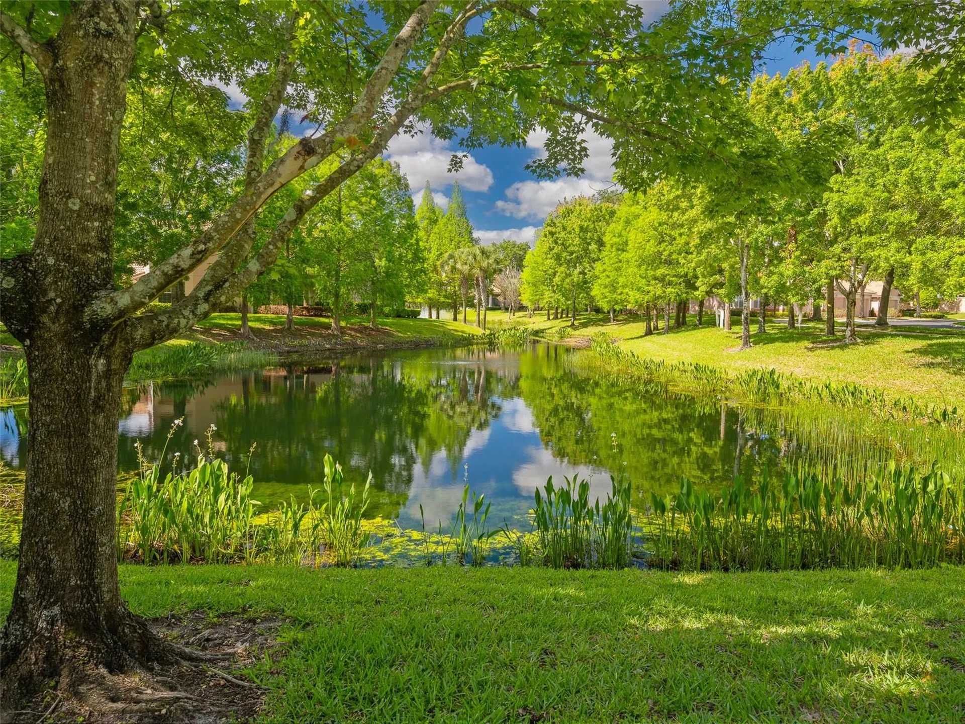 1409 Milledge Lane Davenport FL 33896