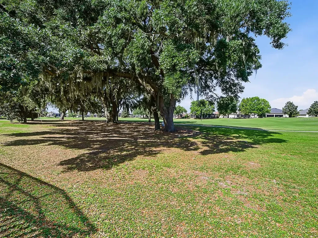 2064 Edenton Terrace The Villages FL 32162