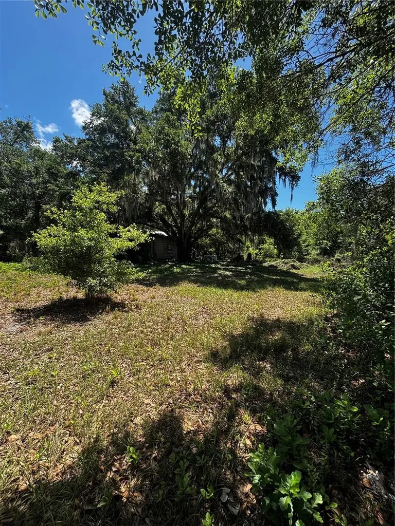 7027 Charles Humphrey Road Plant City FL 33565