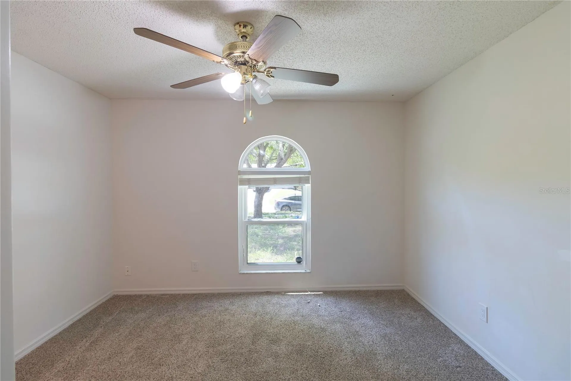 3908 Rosedale Drive Brandon FL 33511