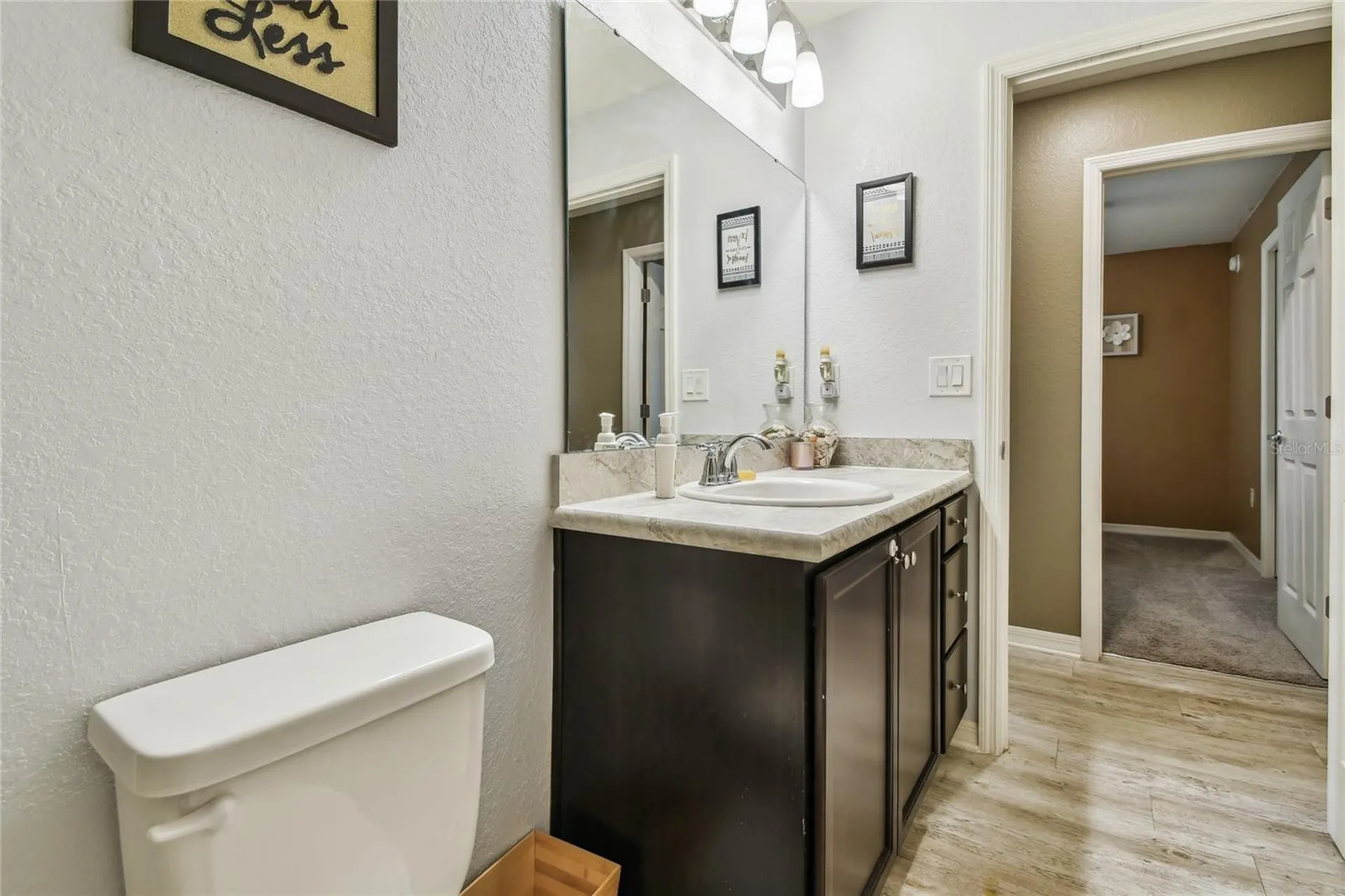 105 Blue Alice Spring Court Ruskin FL 33570