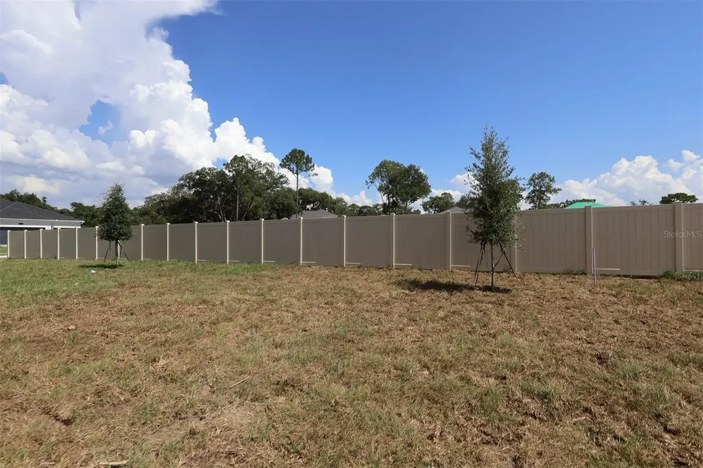 3539 Wolves Creek Place Apopka FL 32712