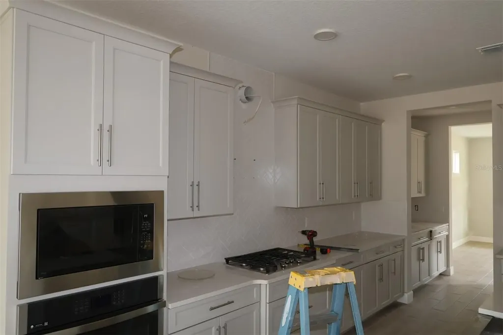 3539 Wolves Creek Place Apopka FL 32712