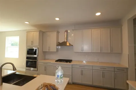 3539 Wolves Creek Place Apopka FL 32712