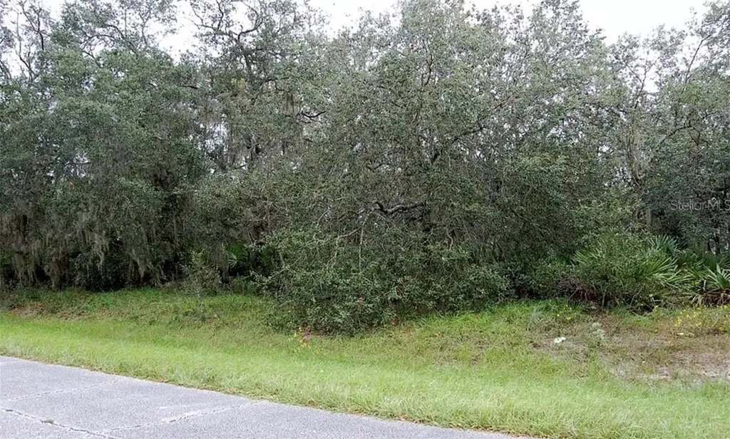 0 Street Johns Court Poinciana FL 34759