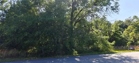 Lot 114 N Goodman Road Kissimmee FL 34747