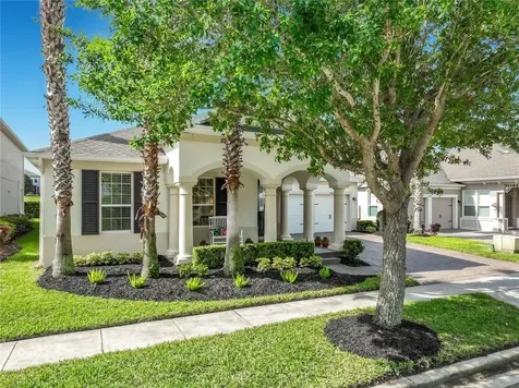 14626 Black Quill Drive Winter Garden FL 34787