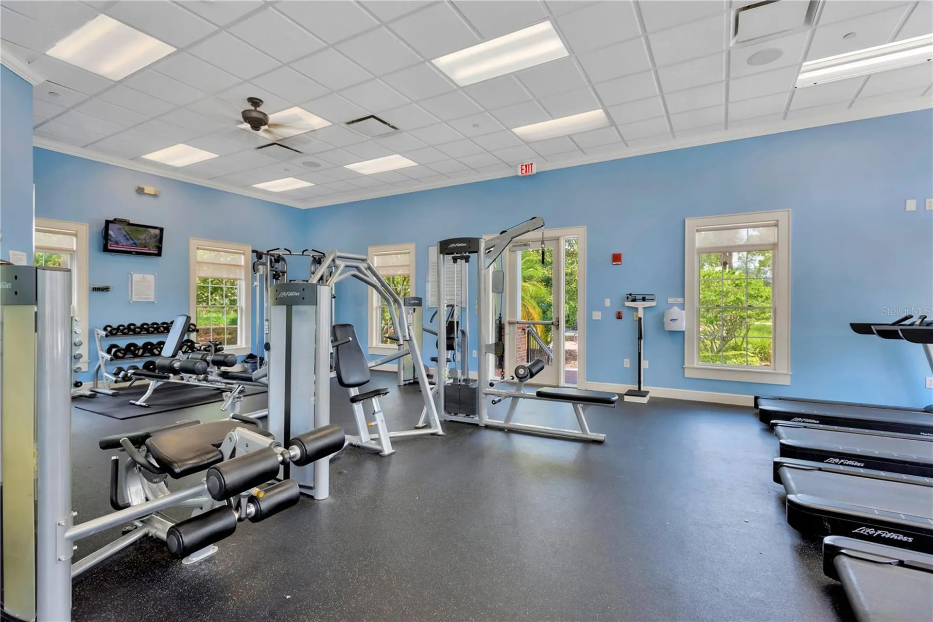 8307 Manor Club Circle Tampa FL 33647