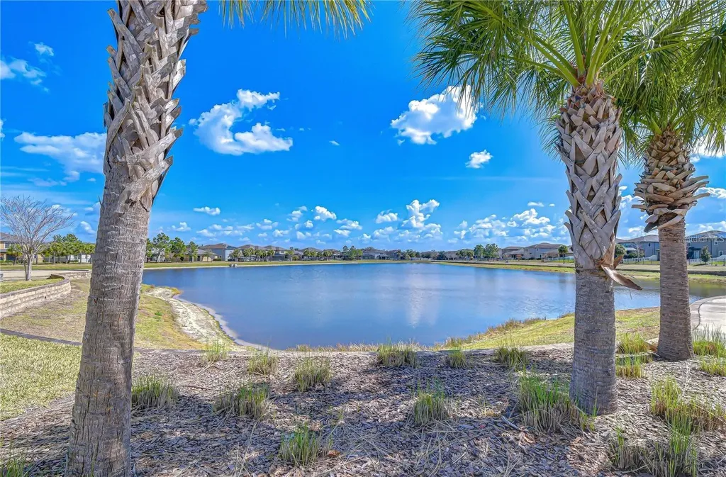 11176 Leland Groves Drive Riverview FL 33579