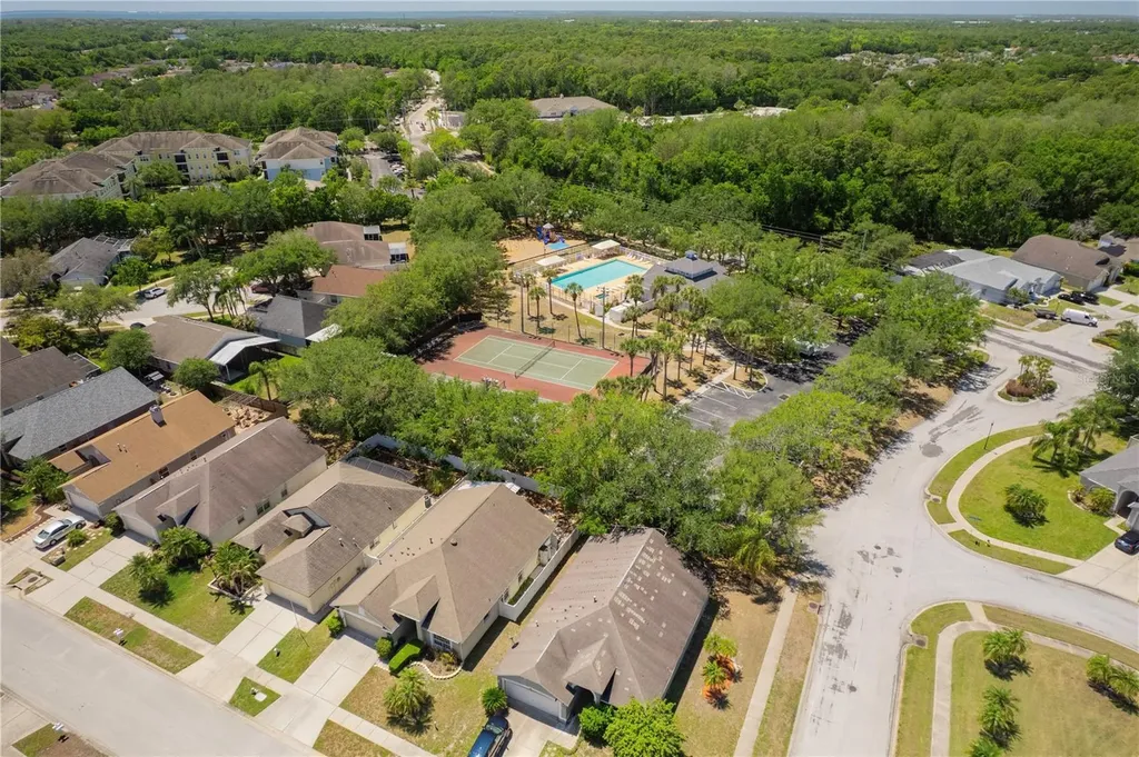 8426 Poydras Lane Tampa FL 33635