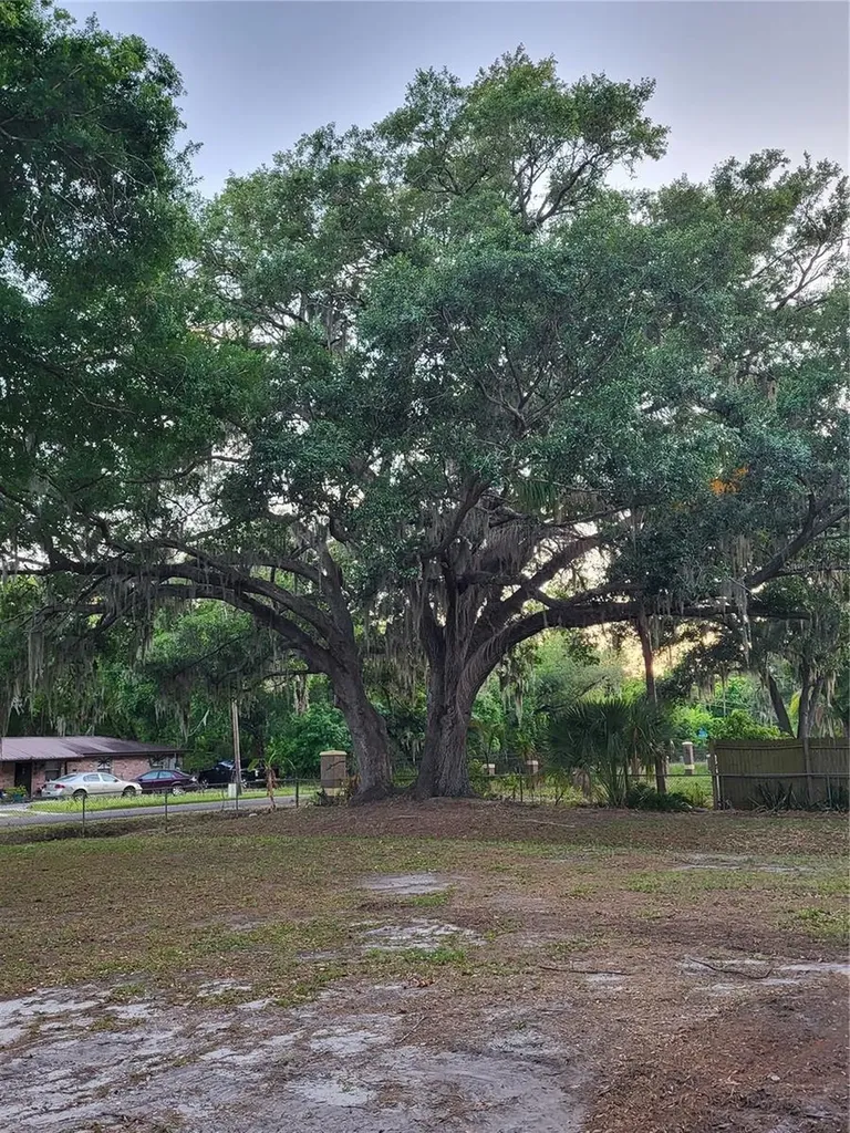 4454 Edwards Road Plant City FL 33567