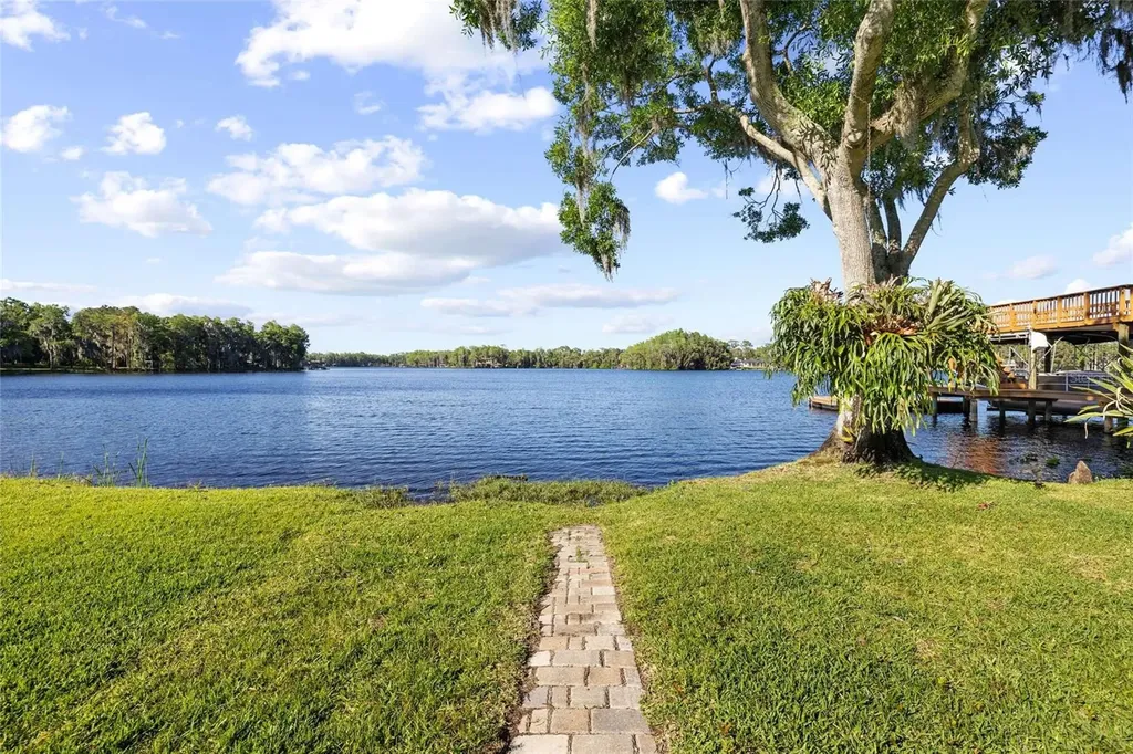 9901 Menander Wood Court Odessa FL 33556