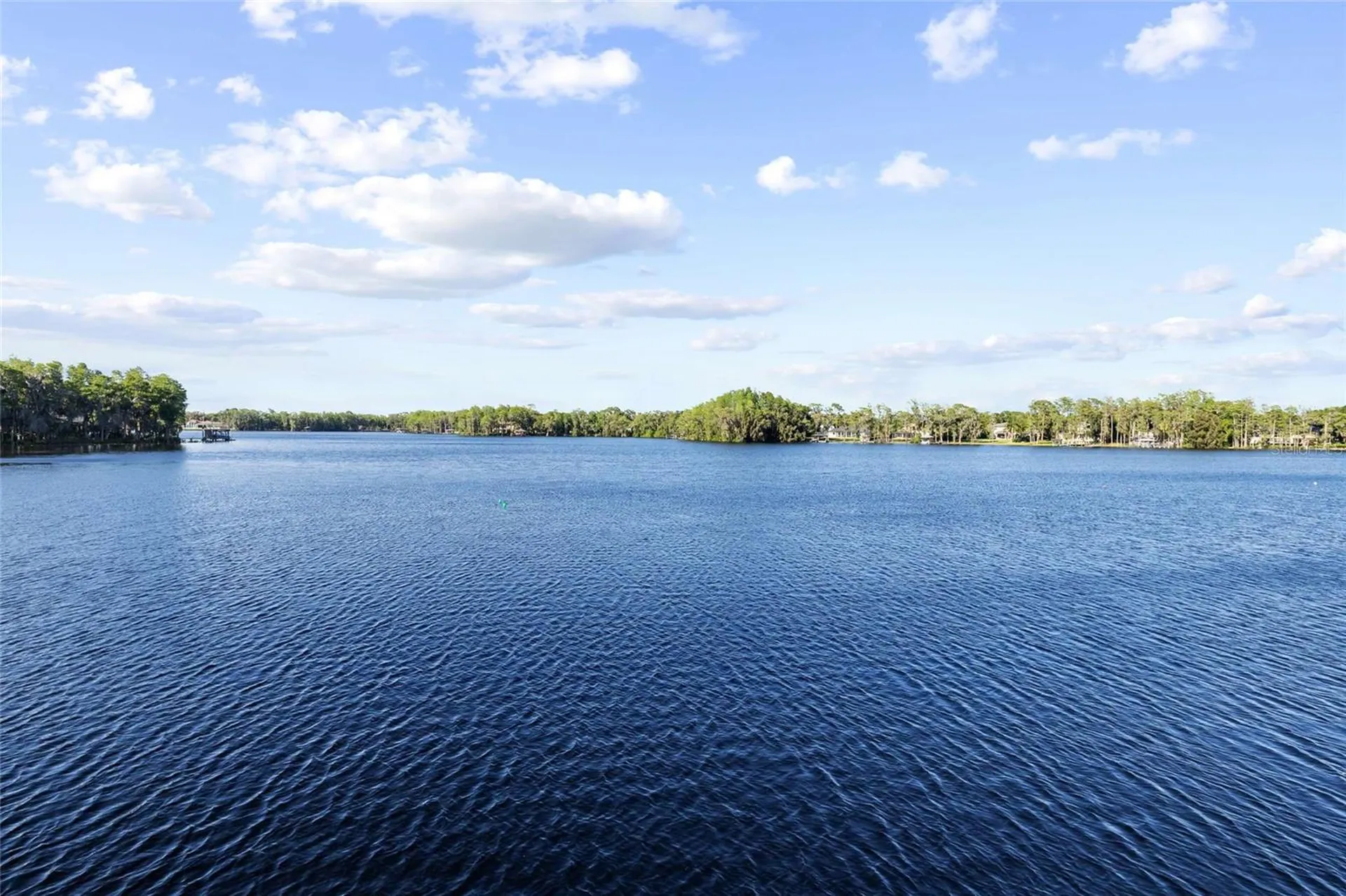 9901 Menander Wood Court Odessa FL 33556
