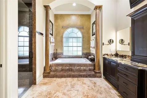 9901 Menander Wood Court Odessa FL 33556