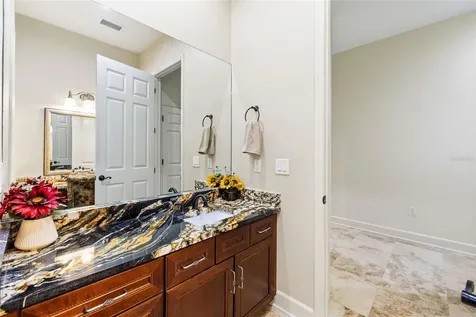 9901 Menander Wood Court Odessa FL 33556