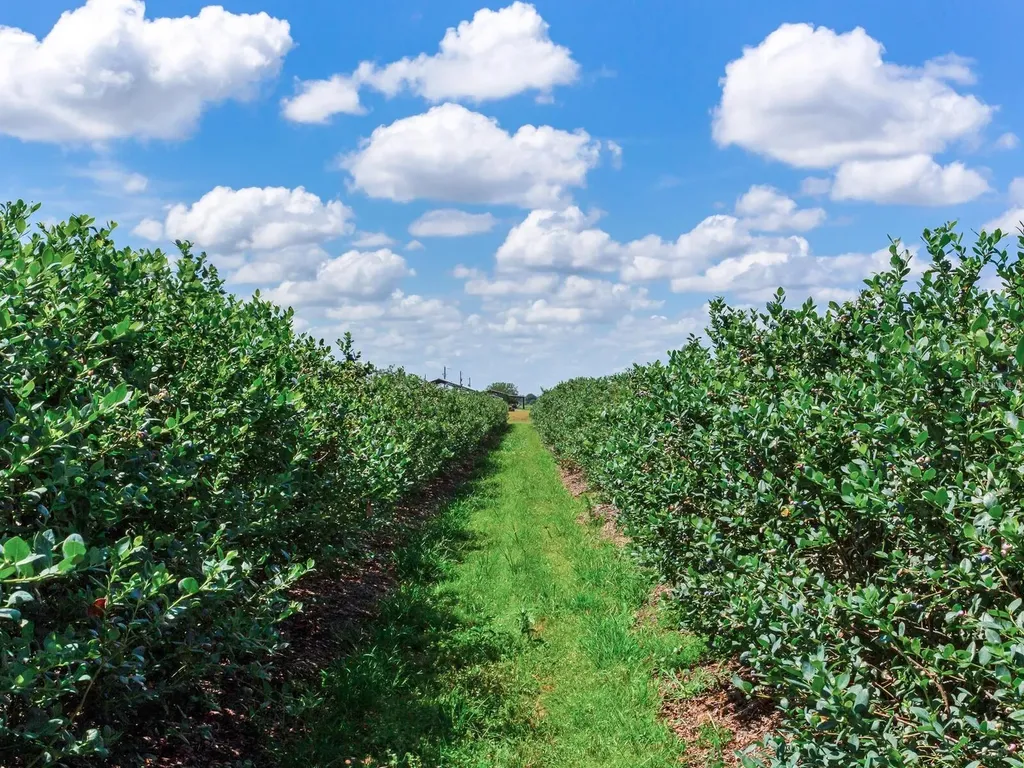 3674 E State Road 64 Zolfo Springs FL 33890