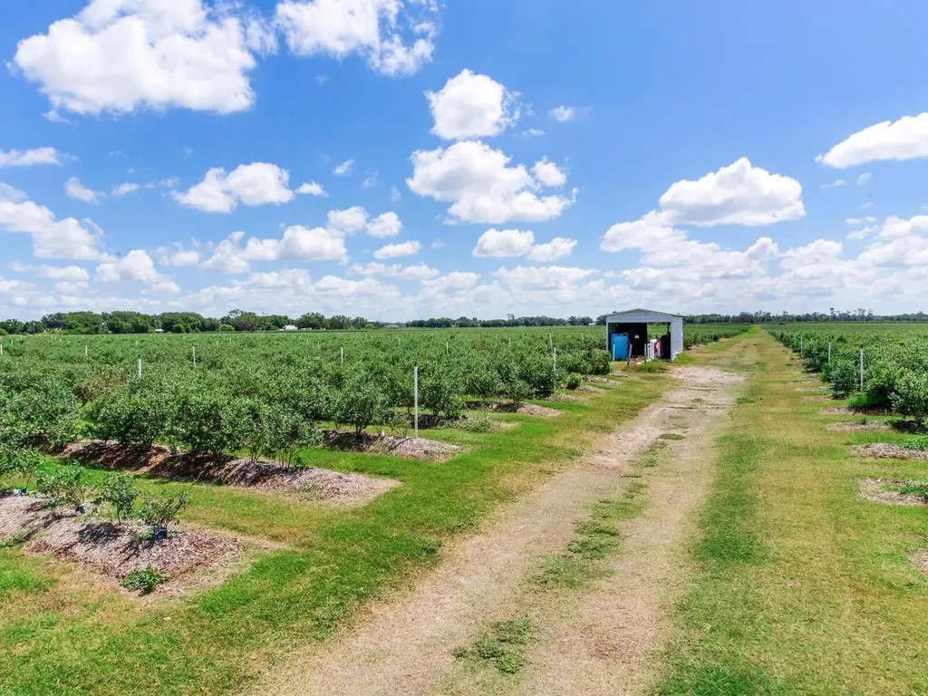 3674 E State Road 64 Zolfo Springs FL 33890