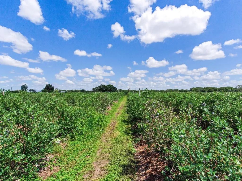 3674 E State Road 64 Zolfo Springs FL 33890