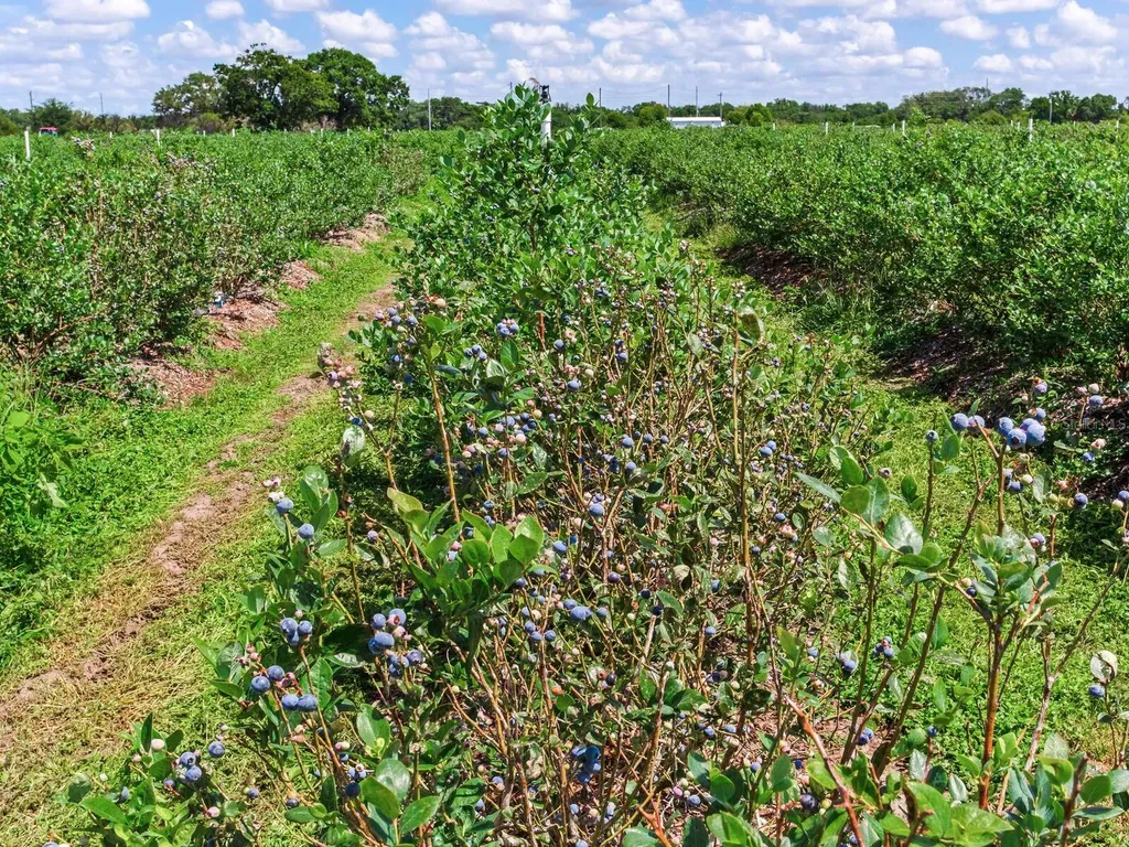 3674 E State Road 64 Zolfo Springs FL 33890