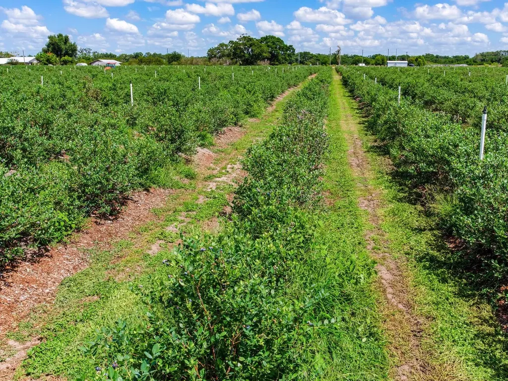 3674 E State Road 64 Zolfo Springs FL 33890