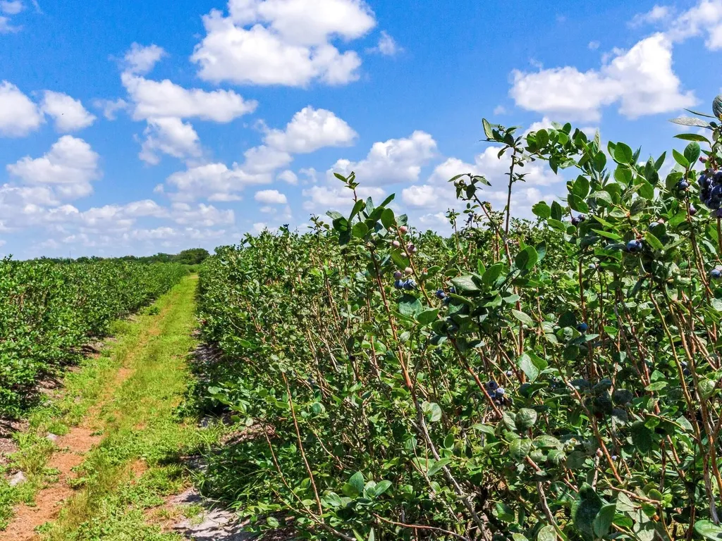 3674 E State Road 64 Zolfo Springs FL 33890