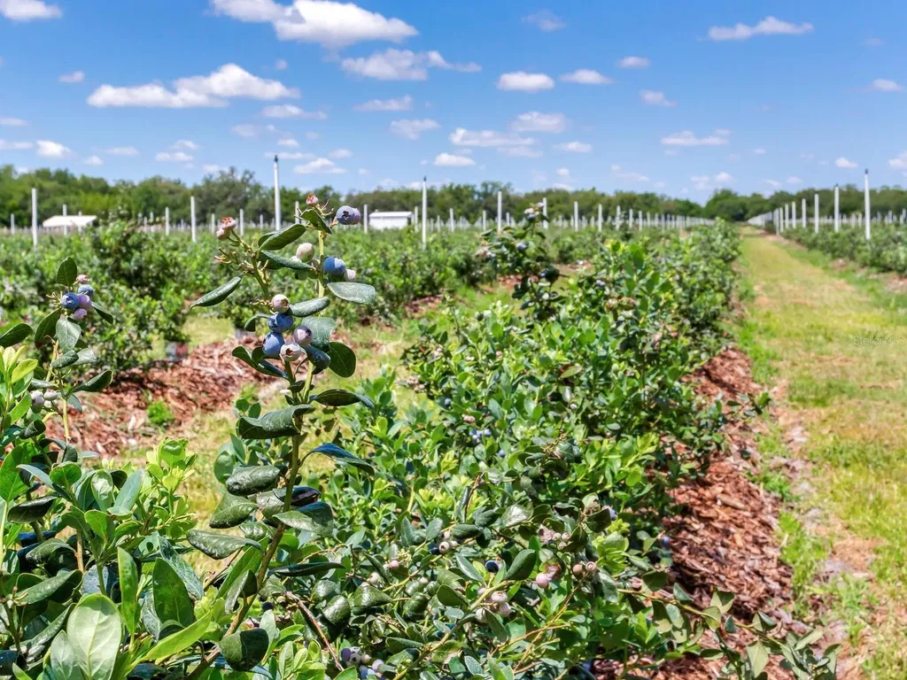 3674 E State Road 64 Zolfo Springs FL 33890