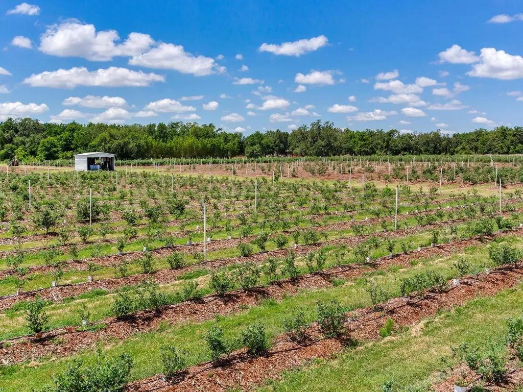 3674 E State Road 64 Zolfo Springs FL 33890