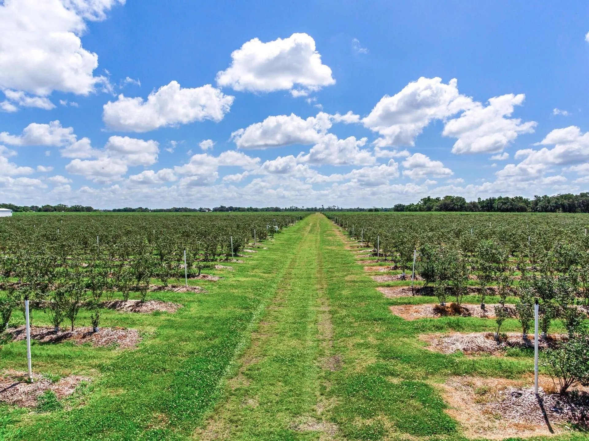 3674 E State Road 64 Zolfo Springs FL 33890