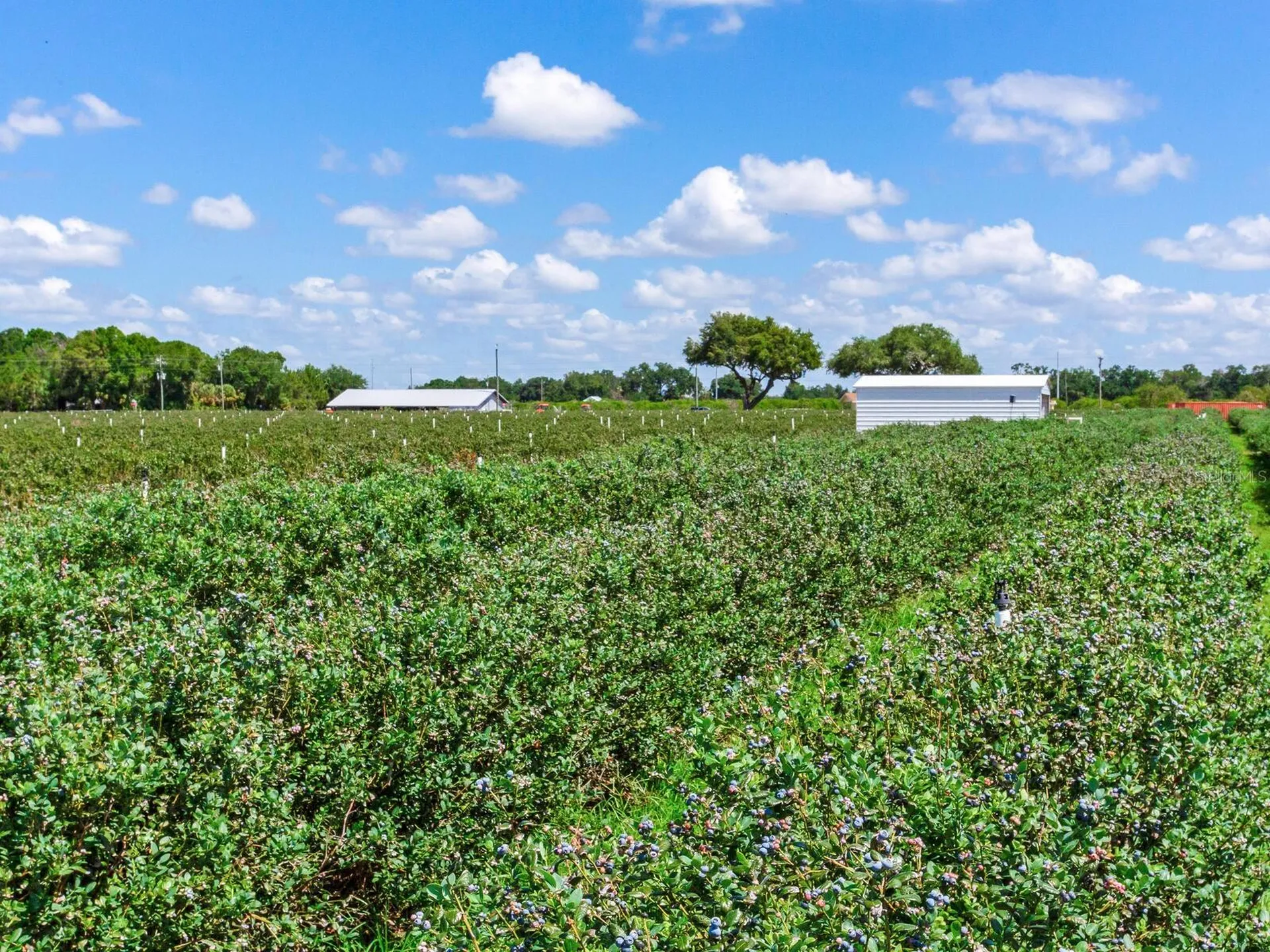 3674 E State Road 64 Zolfo Springs FL 33890