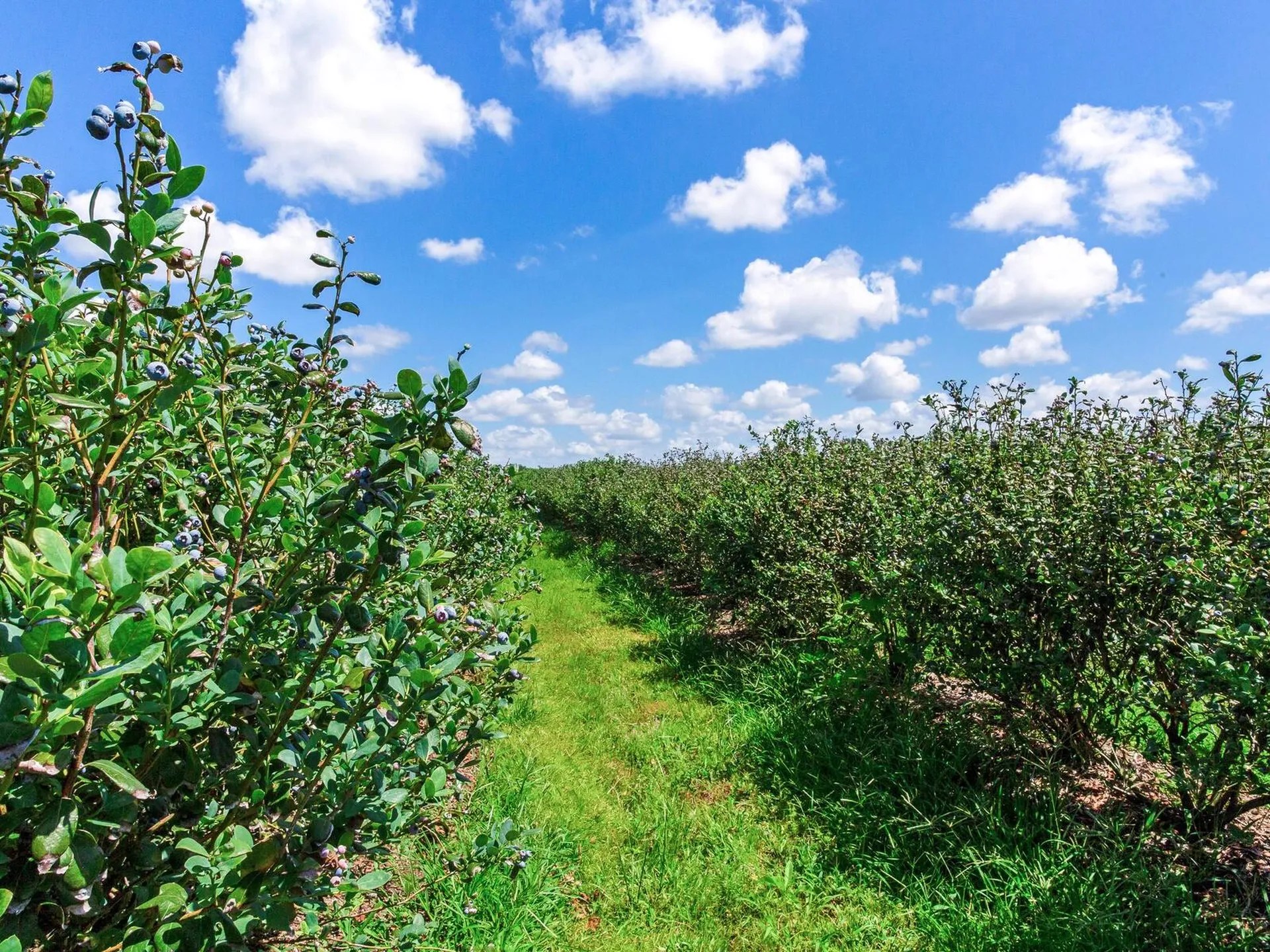 3674 E State Road 64 Zolfo Springs FL 33890
