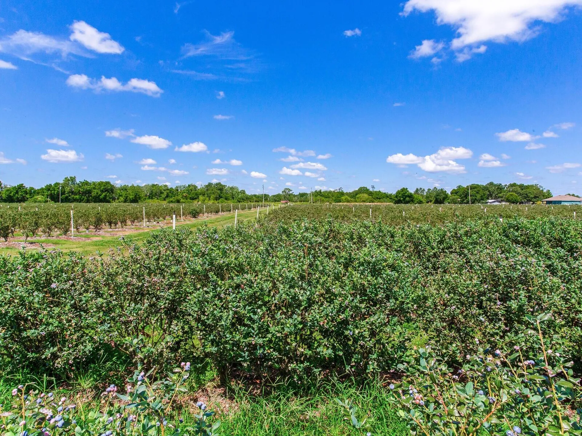 3674 E State Road 64 Zolfo Springs FL 33890