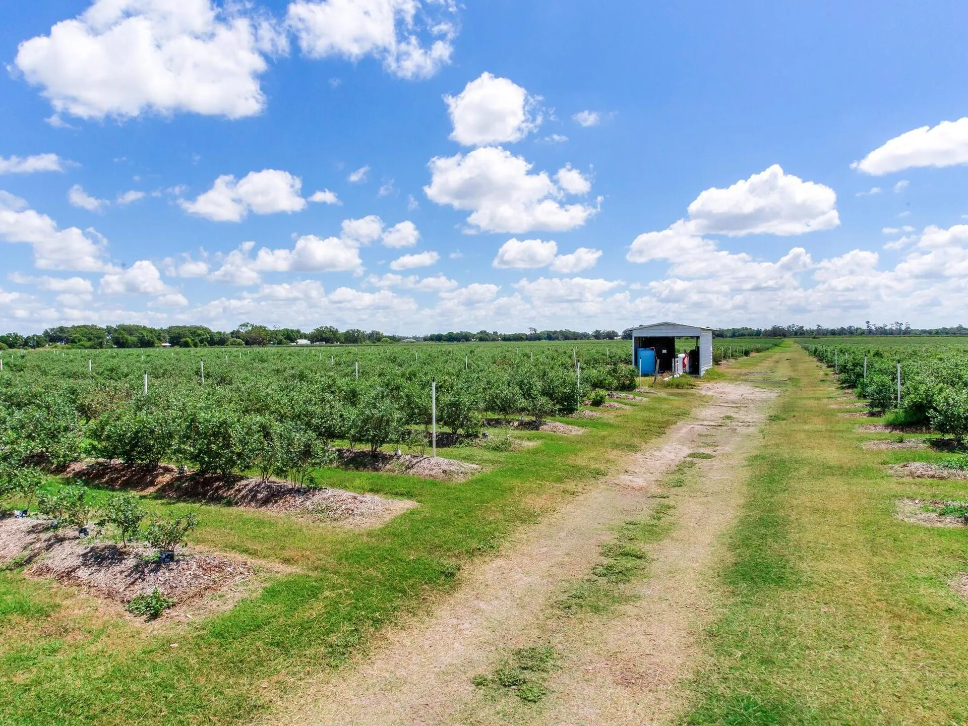 3674 E State Road 64 Zolfo Springs FL 33890