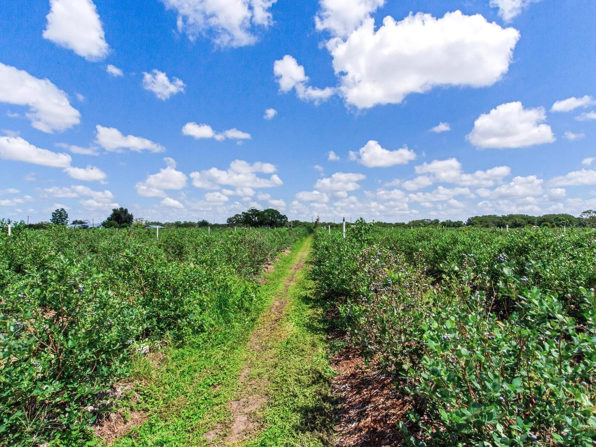 3674 E State Road 64 Zolfo Springs FL 33890
