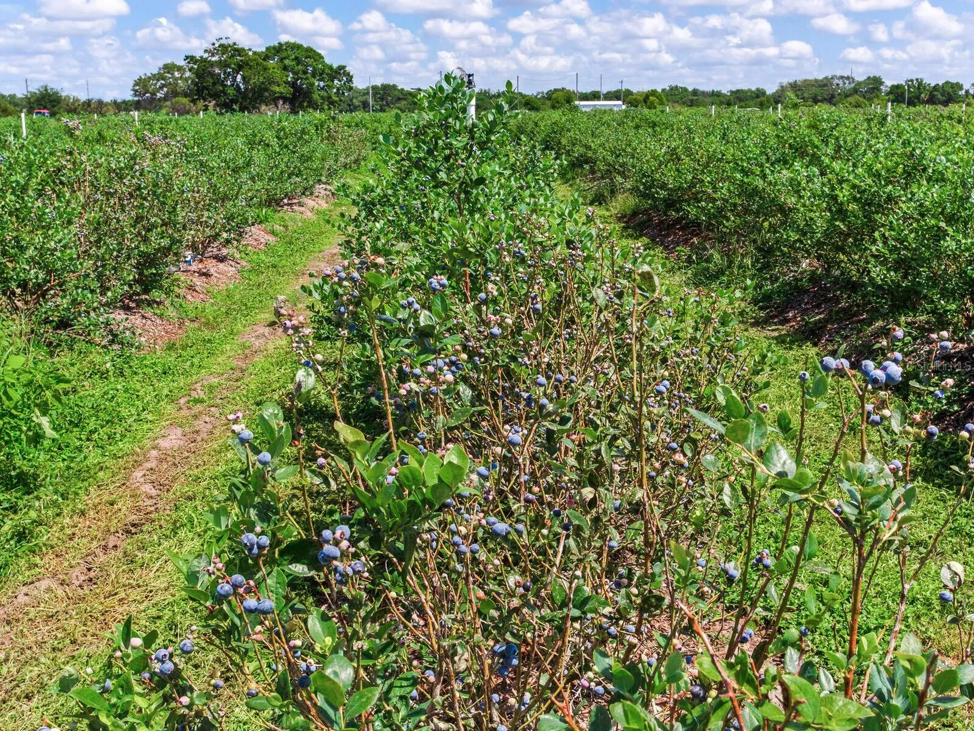 3674 E State Road 64 Zolfo Springs FL 33890