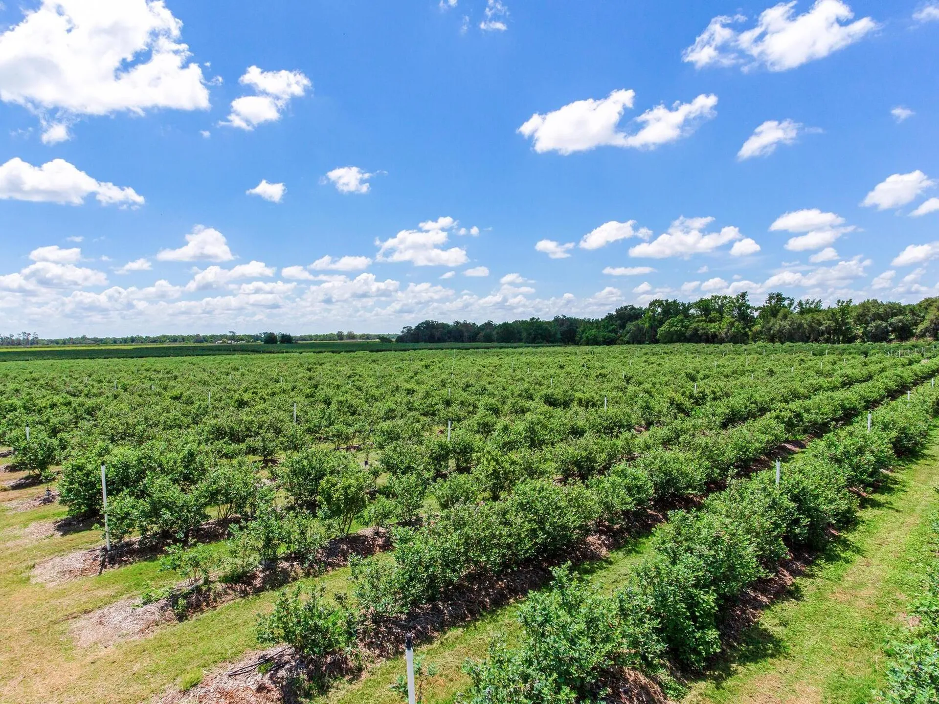 3674 E State Road 64 Zolfo Springs FL 33890