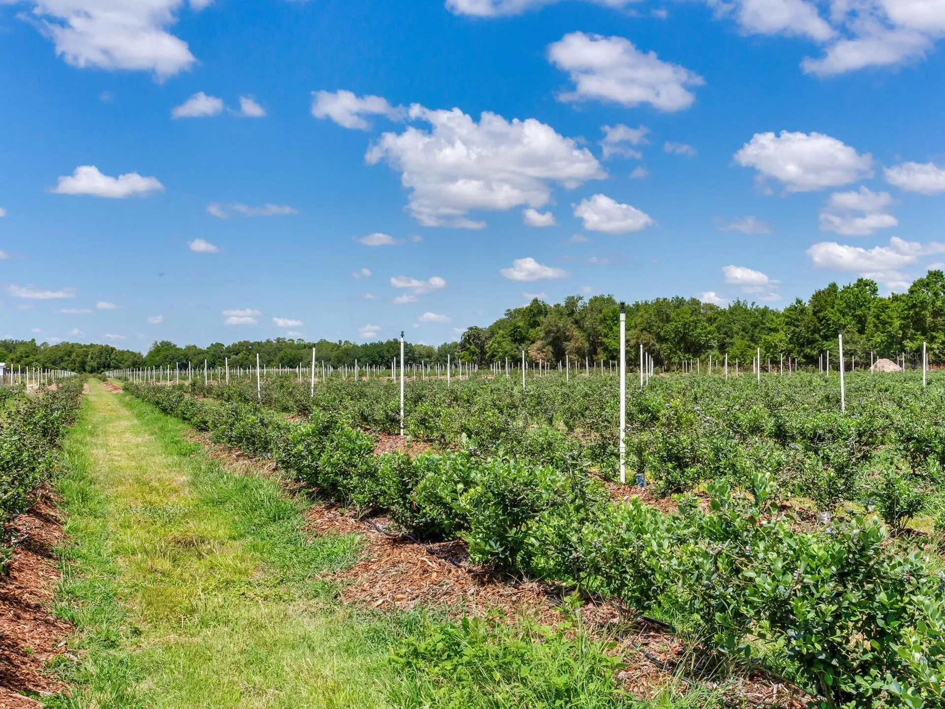 3674 E State Road 64 Zolfo Springs FL 33890