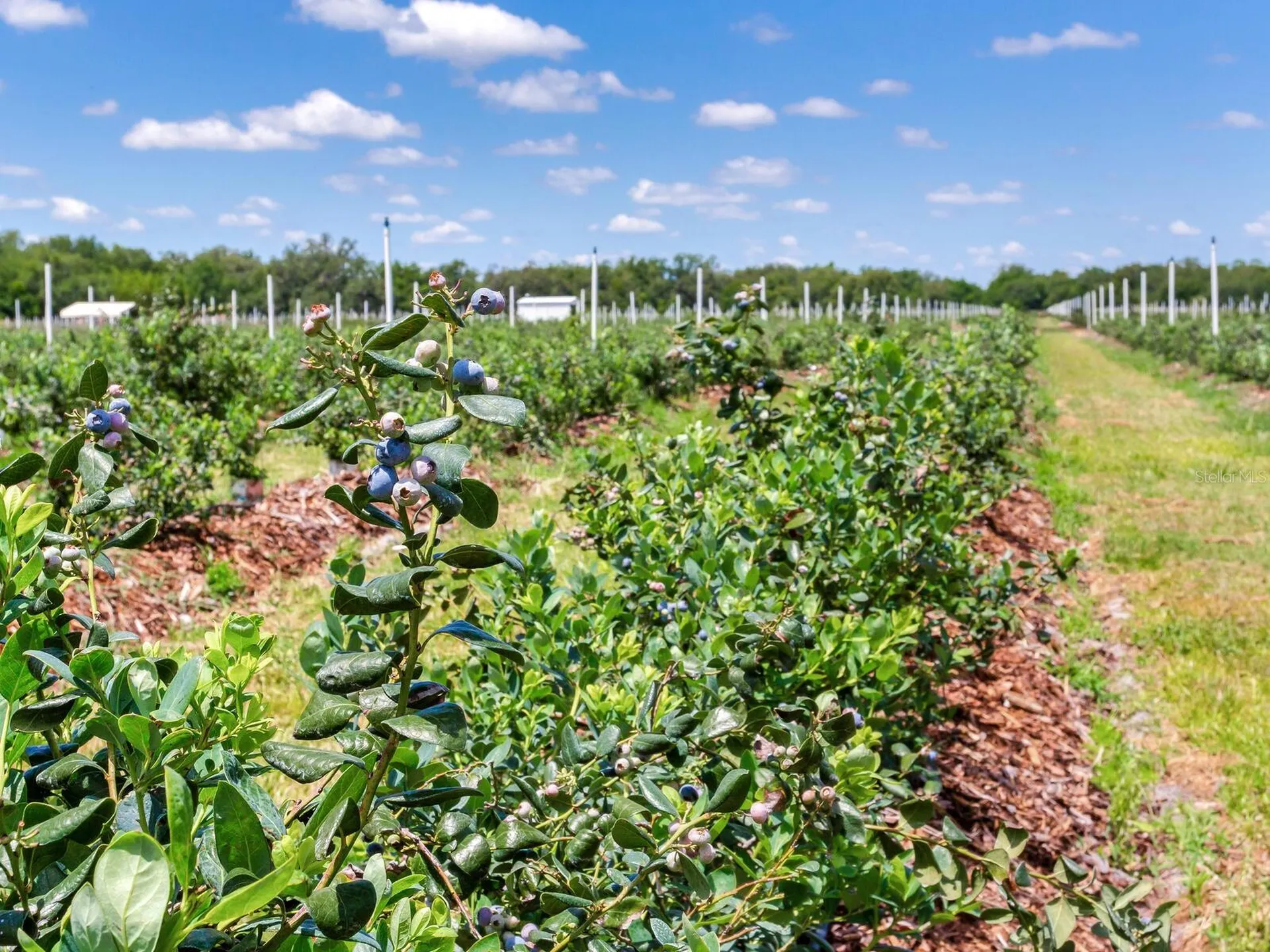 3674 E State Road 64 Zolfo Springs FL 33890