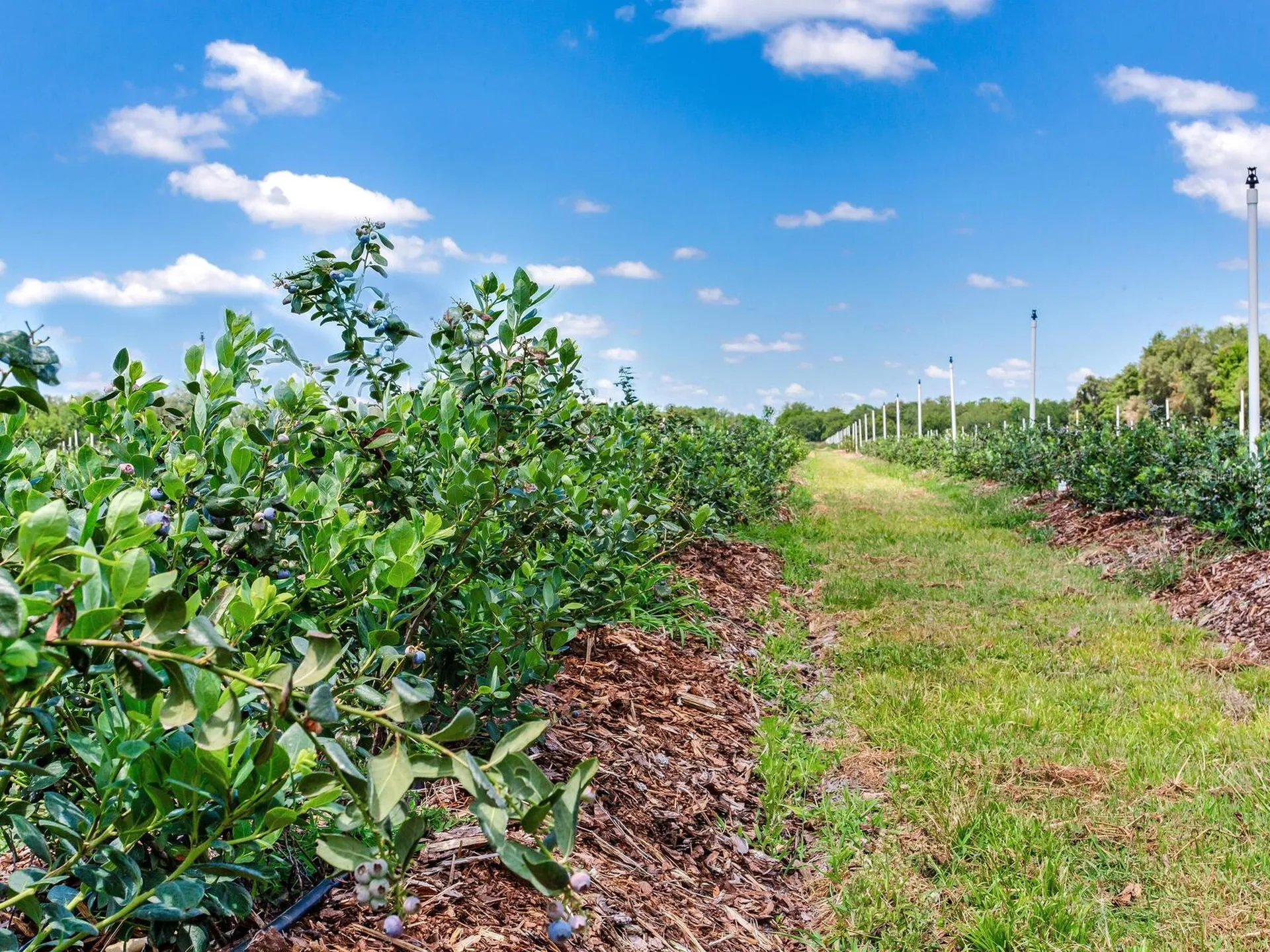 3674 E State Road 64 Zolfo Springs FL 33890