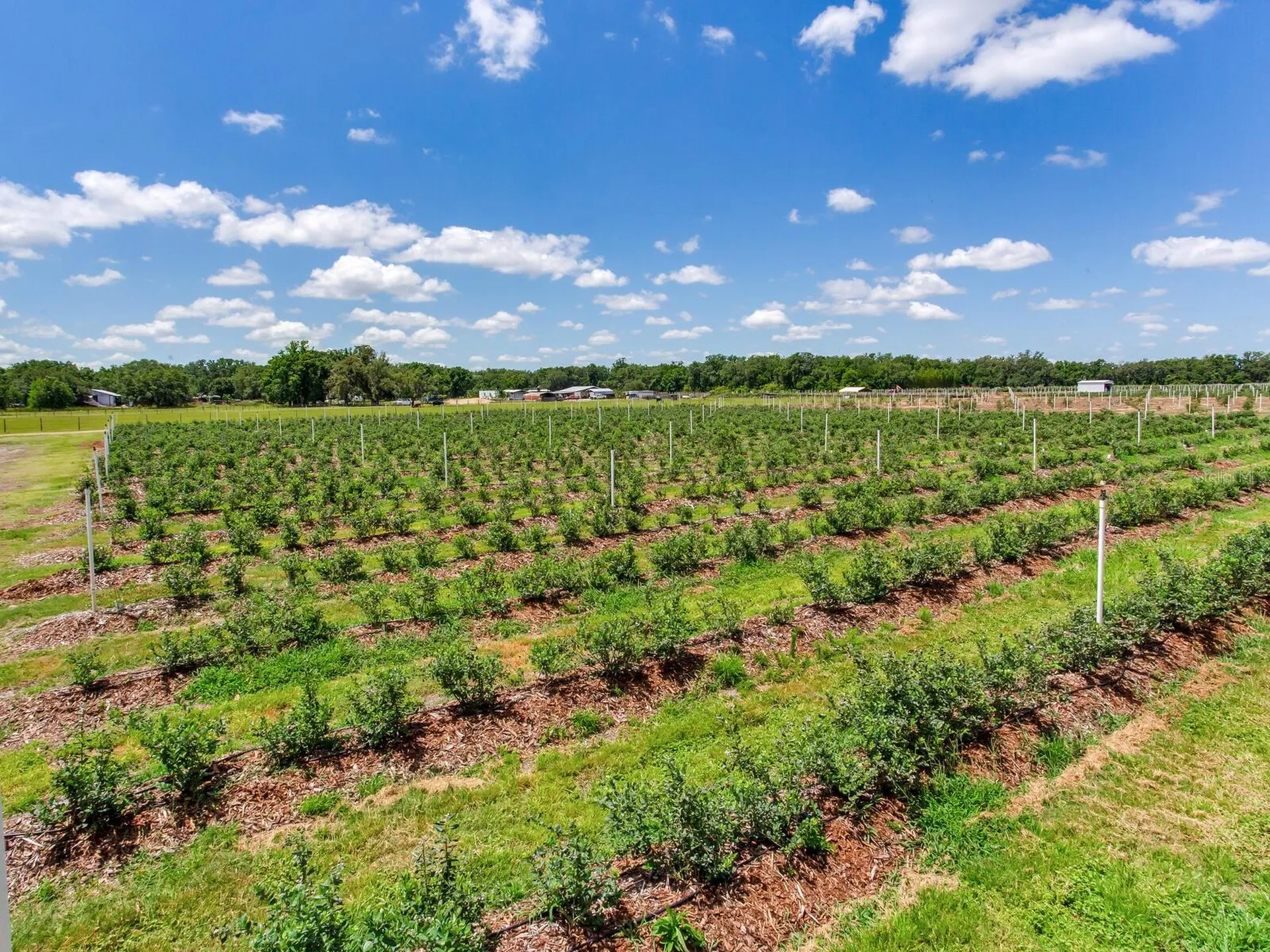 3674 E State Road 64 Zolfo Springs FL 33890