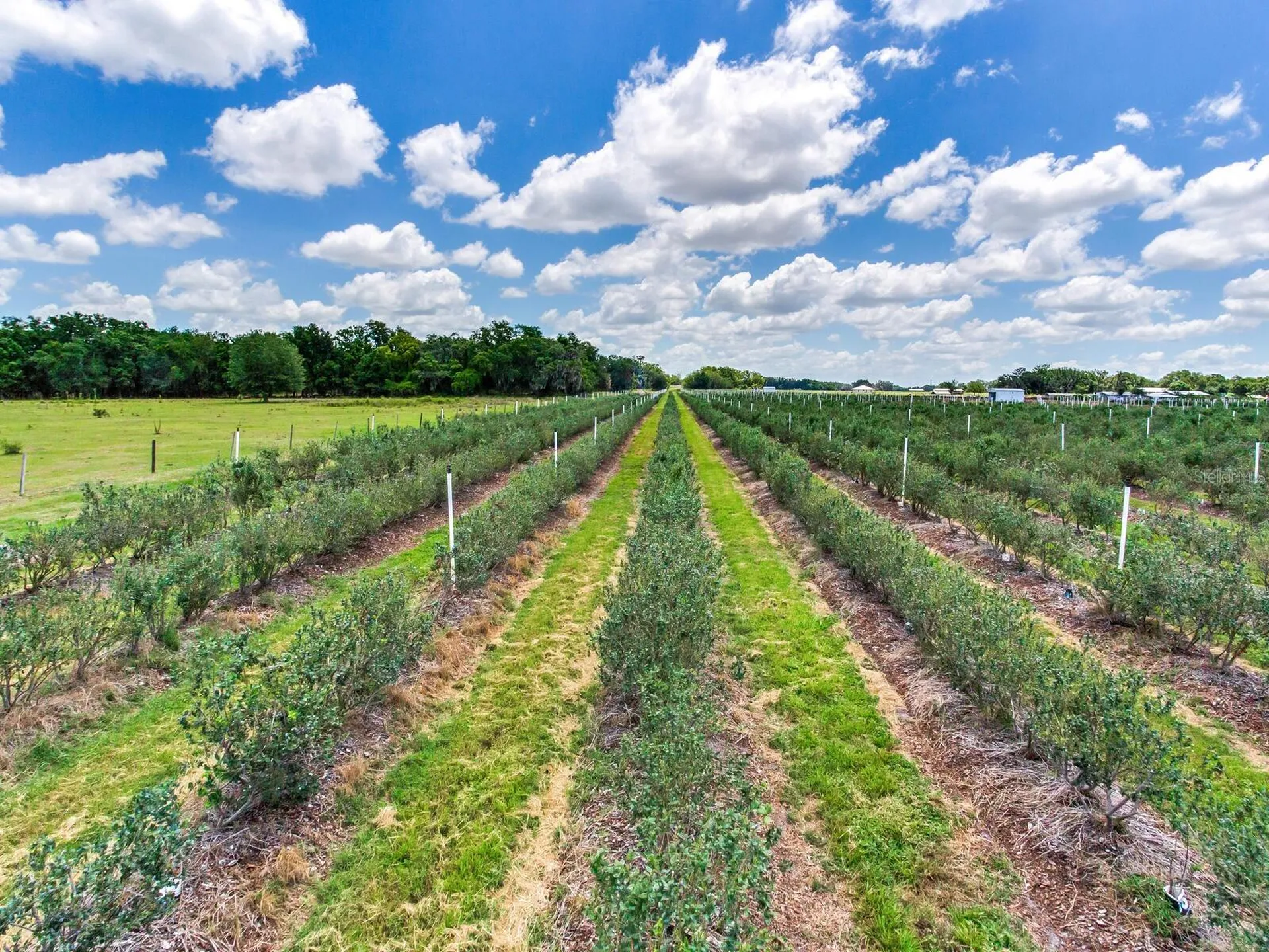 3674 E State Road 64 Zolfo Springs FL 33890