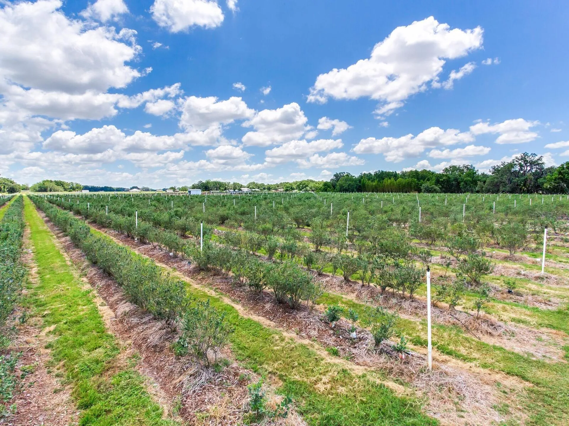 3674 E State Road 64 Zolfo Springs FL 33890