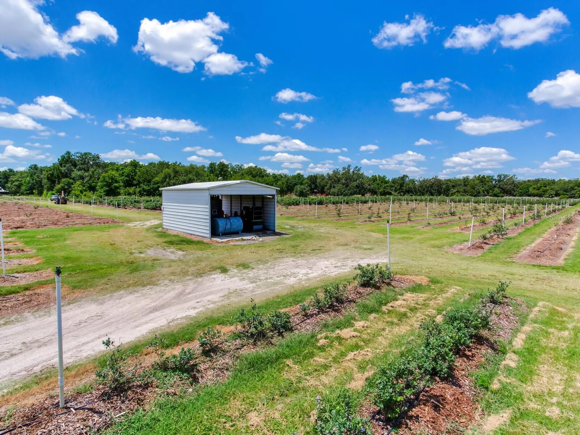 3674 E State Road 64 Zolfo Springs FL 33890