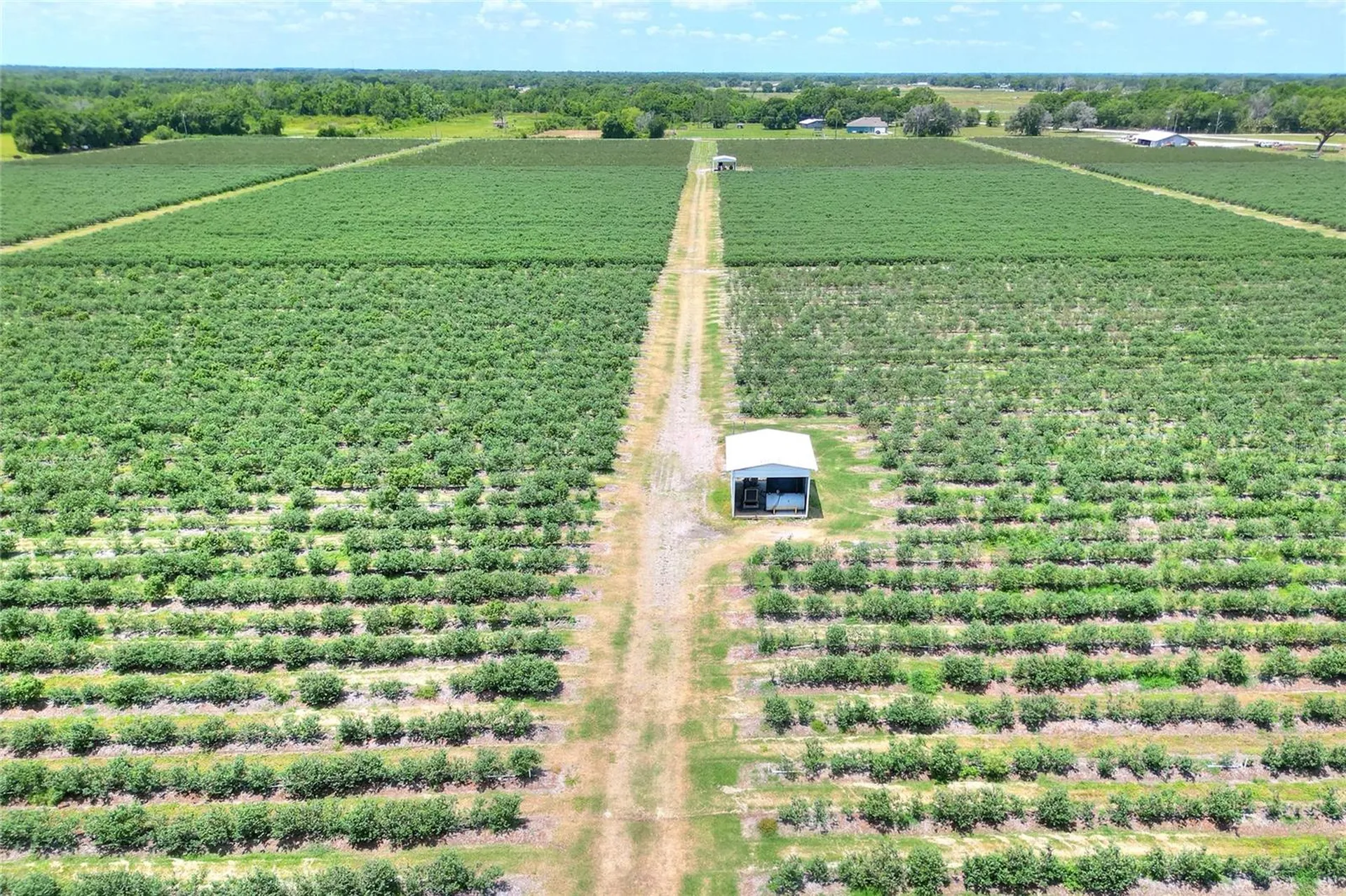 3674 E State Road 64 Zolfo Springs FL 33890