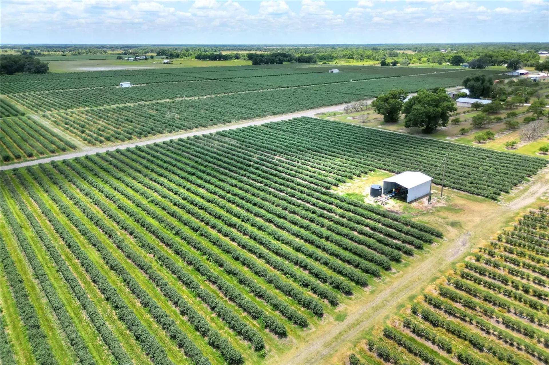3674 E State Road 64 Zolfo Springs FL 33890