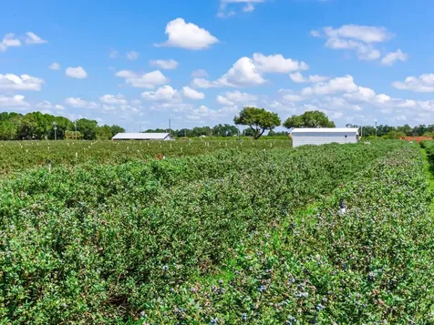 3674 E State Road 64 Zolfo Springs FL 33890